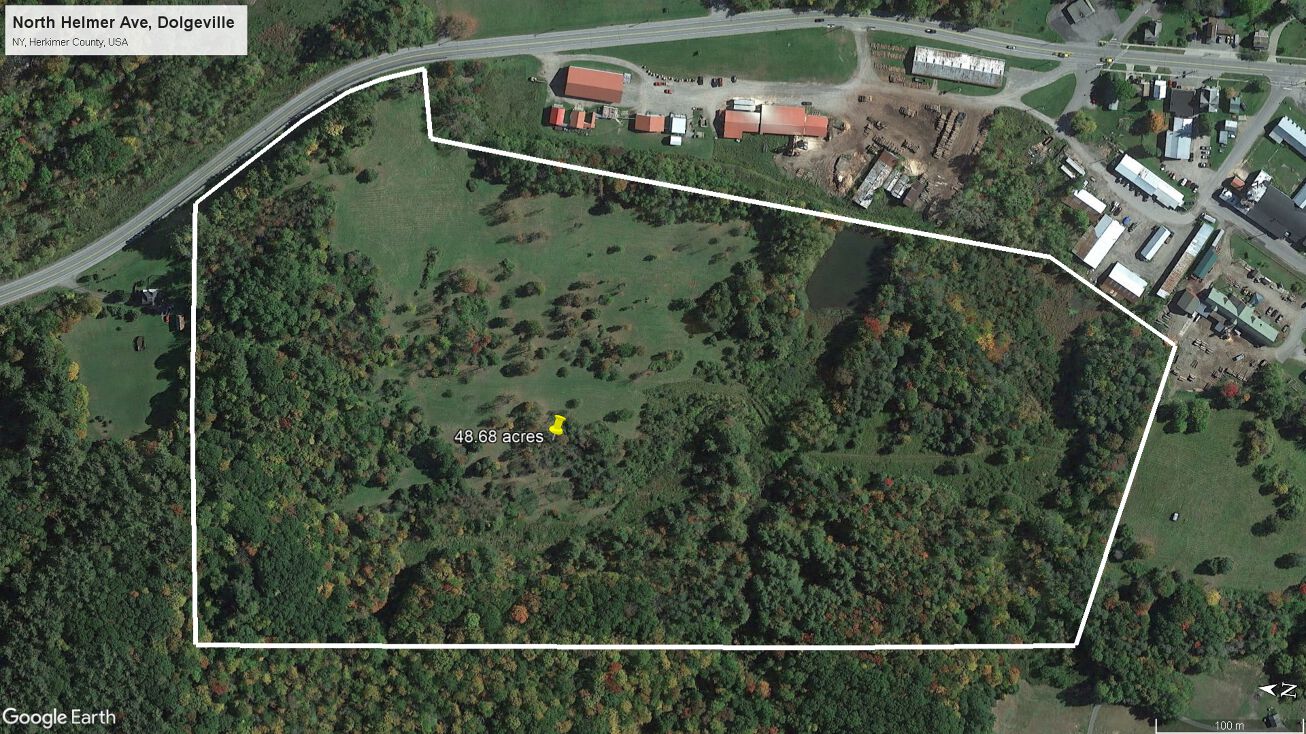 187 N Helmer Ave, Dolgeville, NY 13329