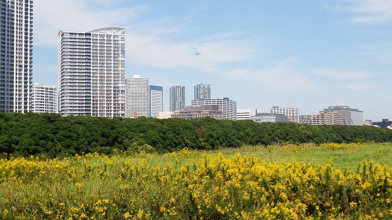 19633 Applewhite Rd, San Antonio, TX 78264