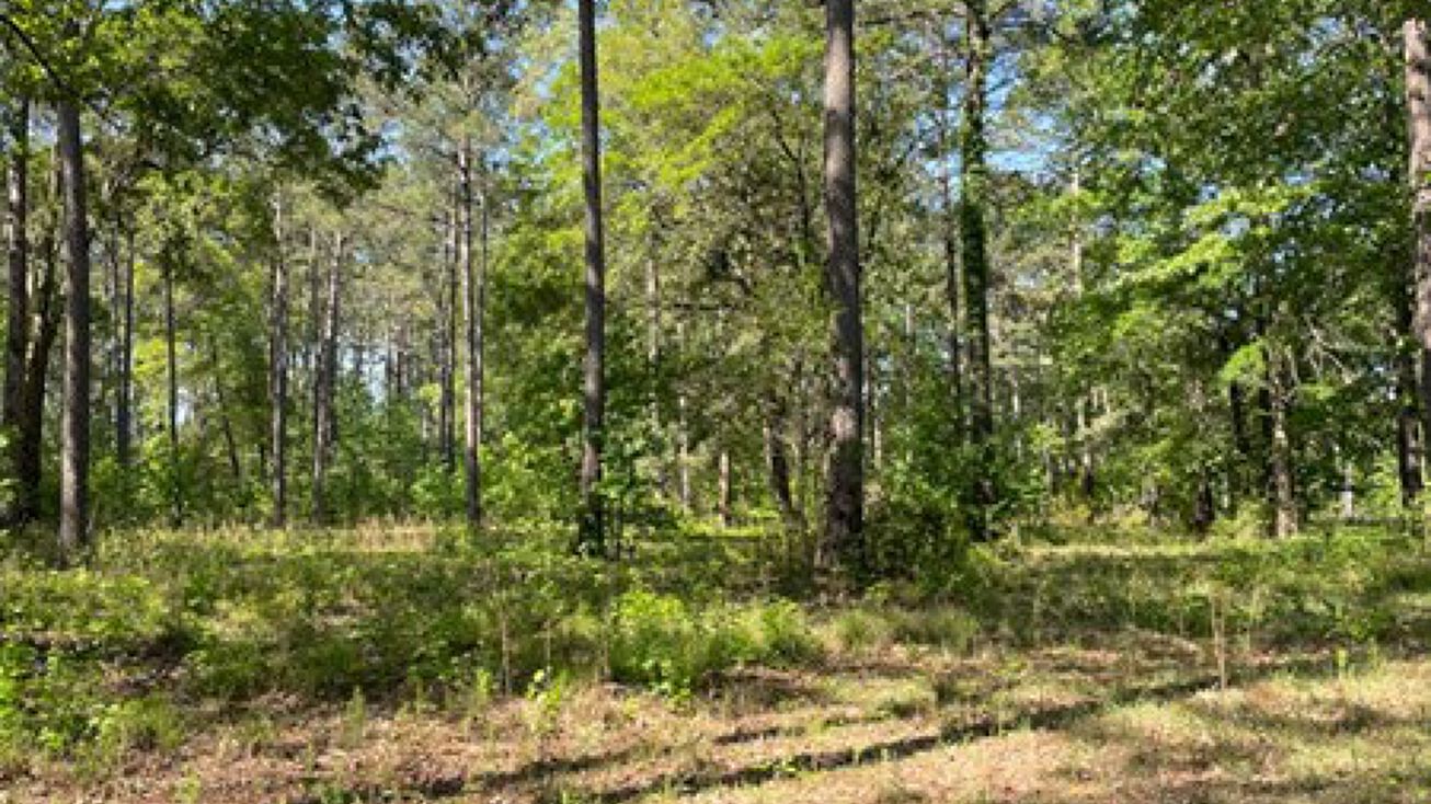 73 Bailey Cir, Sheldon, SC 29940