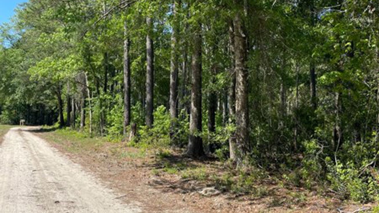 75 Bailey Cir, Sheldon, SC 29940