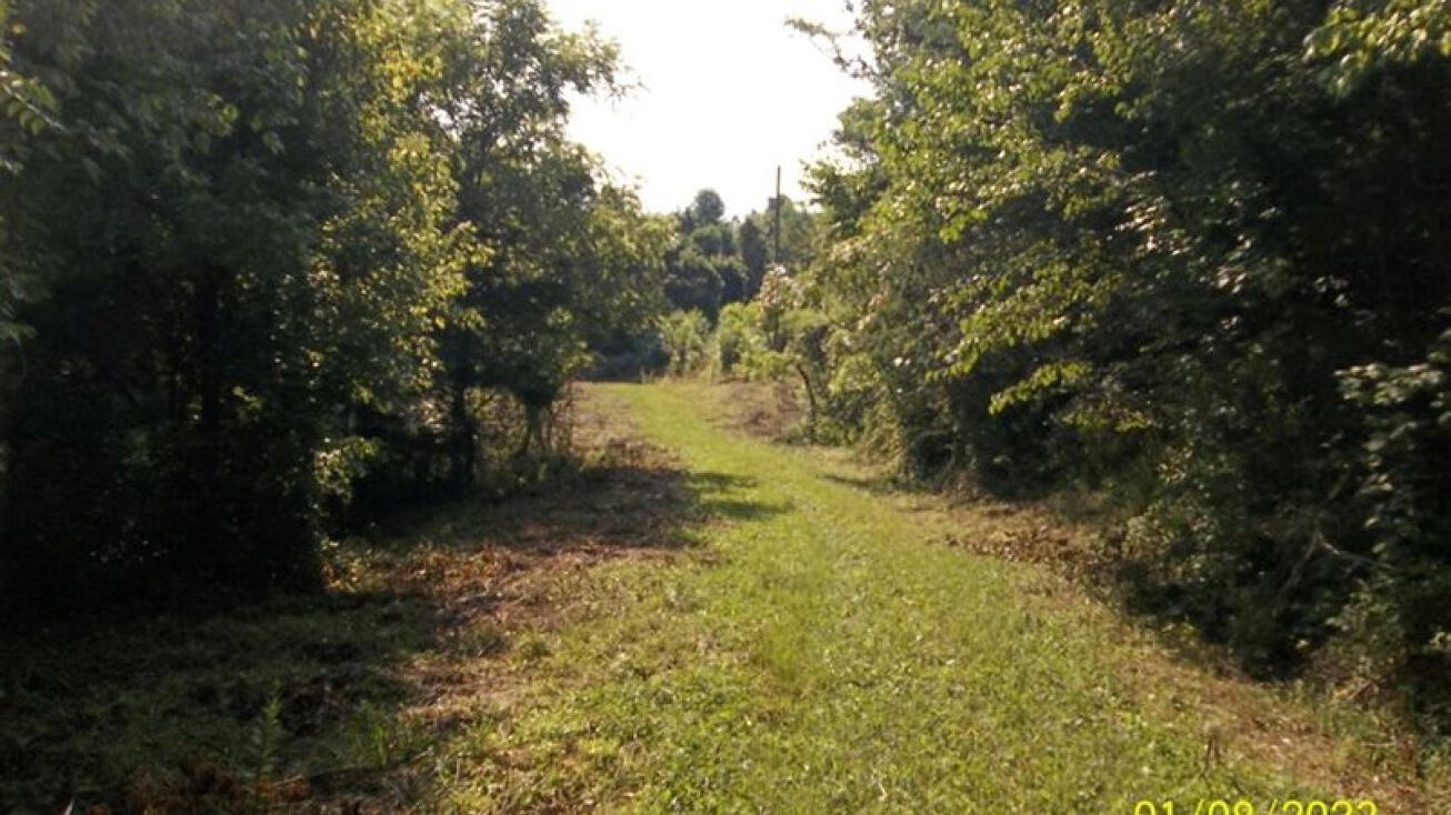 Big Hill Rd, Mooresburg, TN 37708