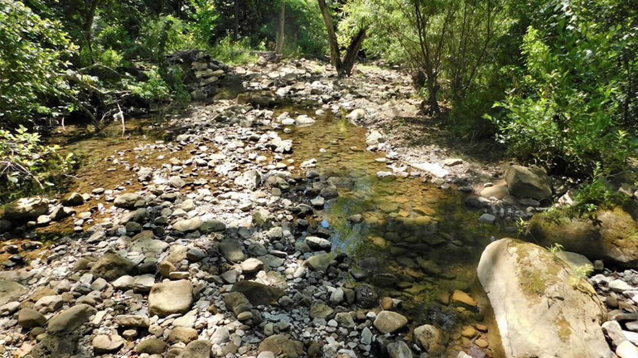 NC 8700, Parthenon, AR 72666