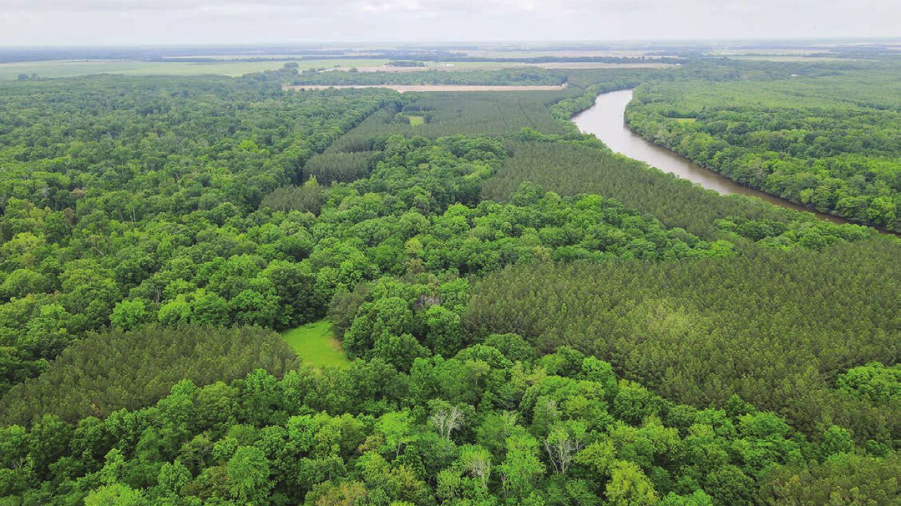 Culotches Bay Retreat, Hickory Plains, AR 72066