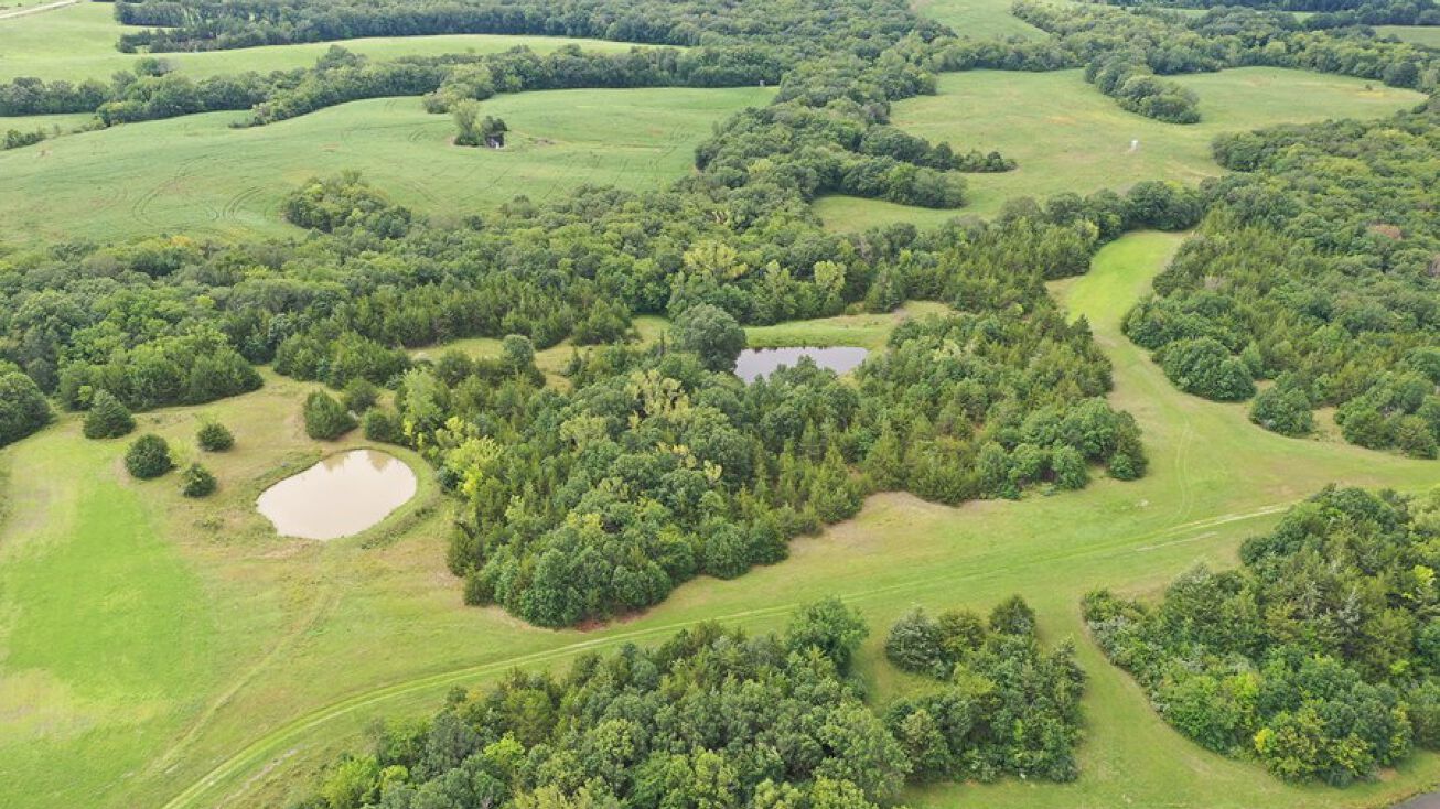 40 Acre Hunting Tract, Cainsville, MO 64632
