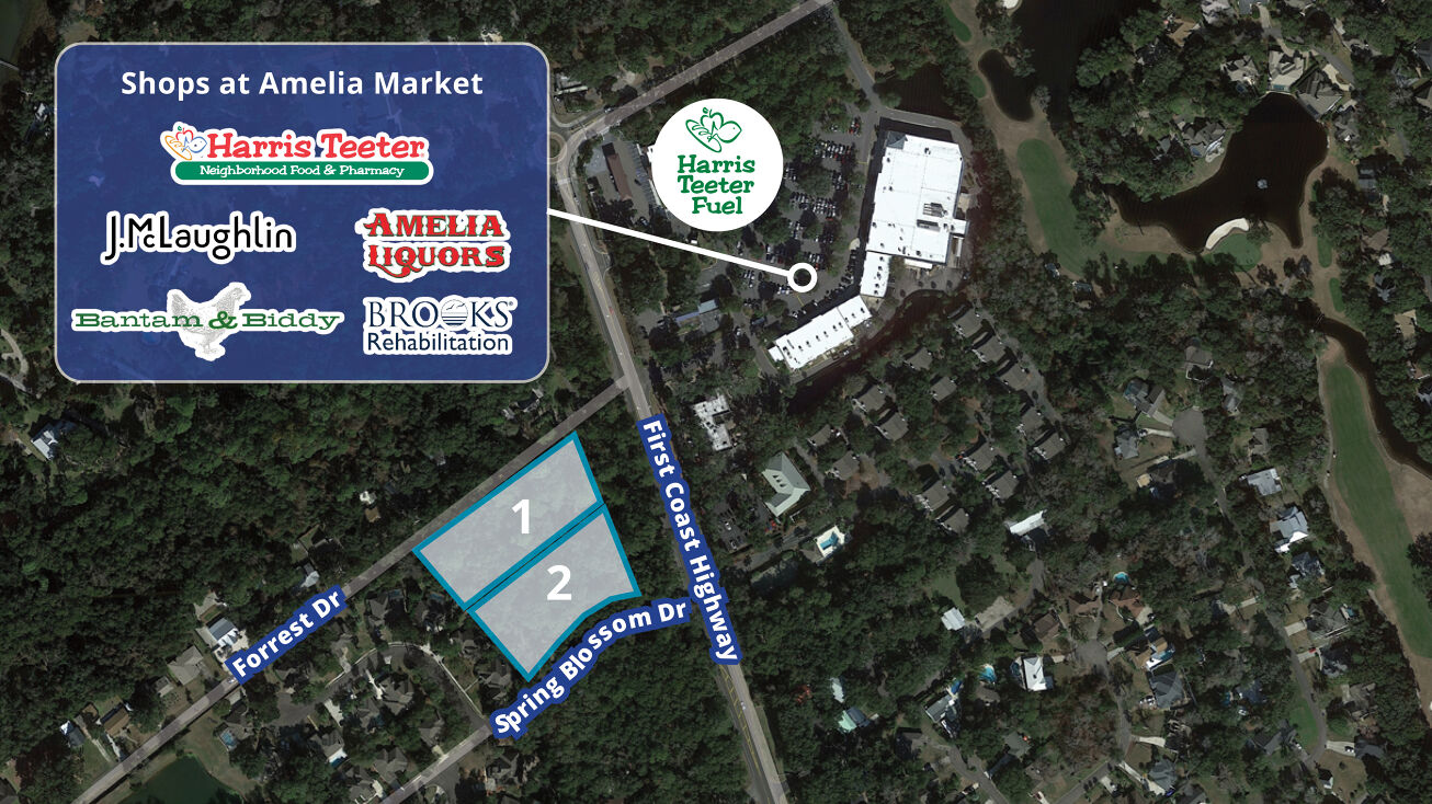 9565 Spring Blossom Ln, Fernandina Beach, FL 32034