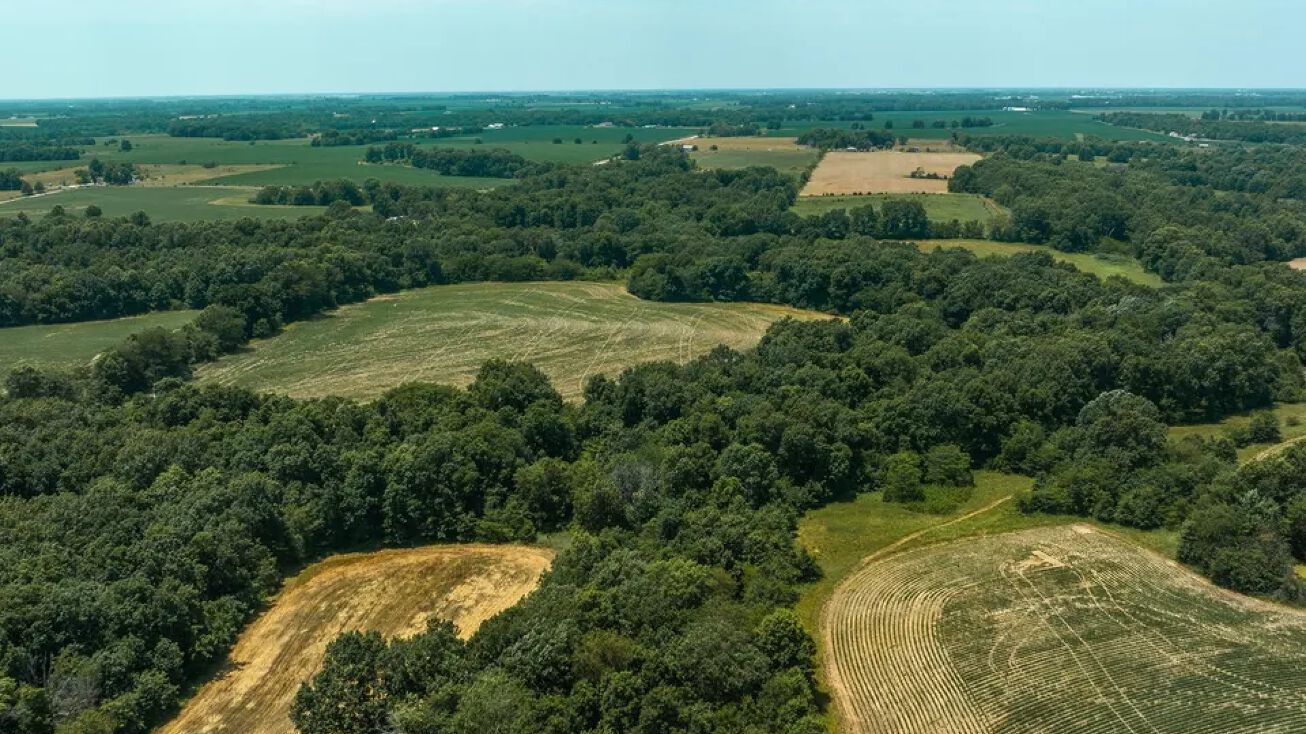 Pike 447, Curryville, MO 63339