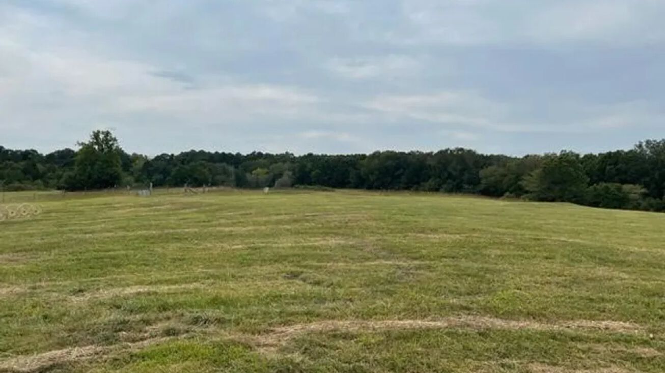 15022 Boiling Springs Rd, Licking, MO 65542