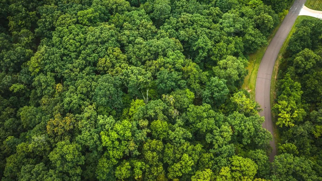 Parkview Drive, Pacific, MO 63069