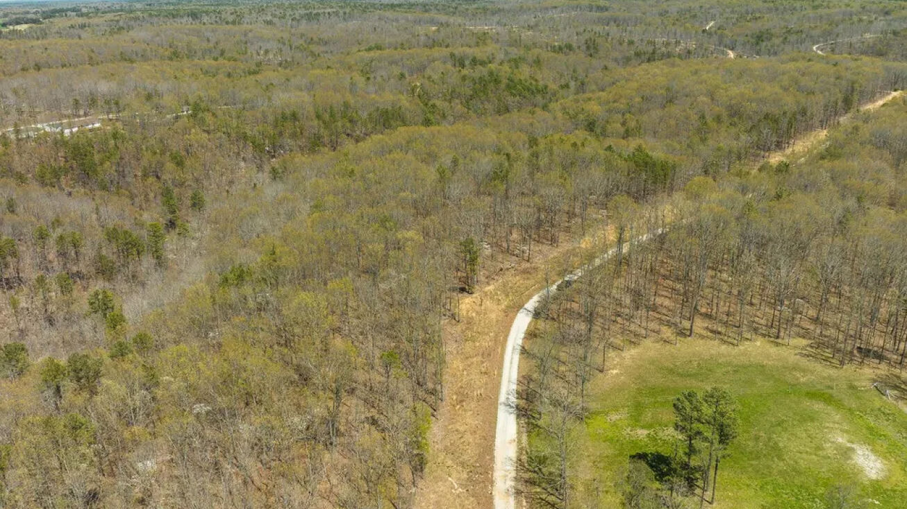 Golden Mane, Raymondville, MO 65555