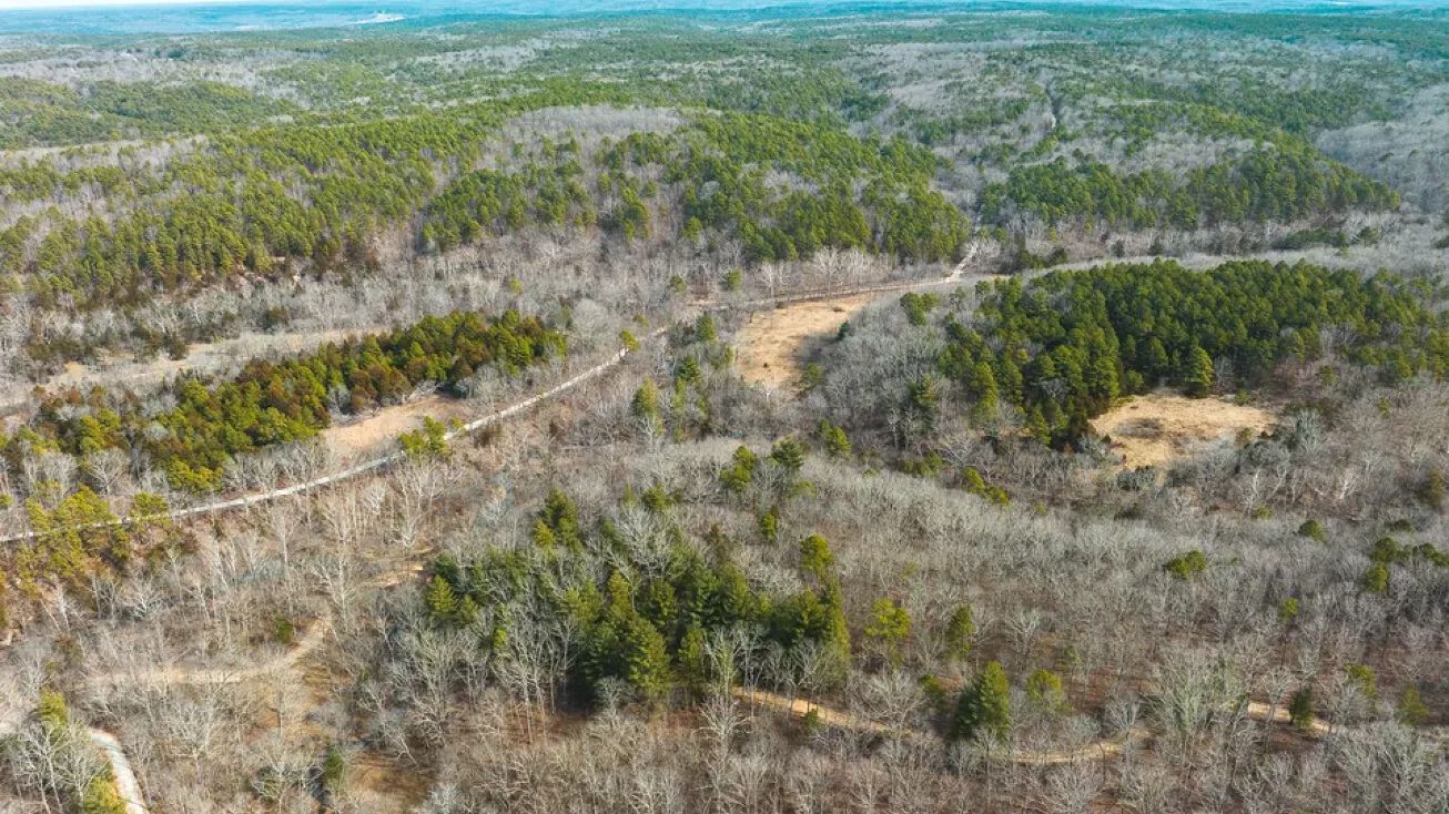 TBD Paddy Chapel RoadTract 12, Roby, MO 65557