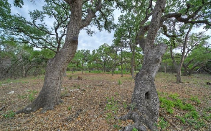 Pictures of Land property located at 11916 Jim Bridger Dr, Austin, TX 78737 for sales - image #1