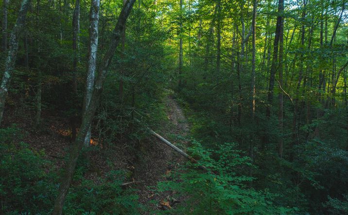 Pictures of Land property located at 4157 Kirby Mountain Rd, Lenoir, NC 28645 for sales - image #1