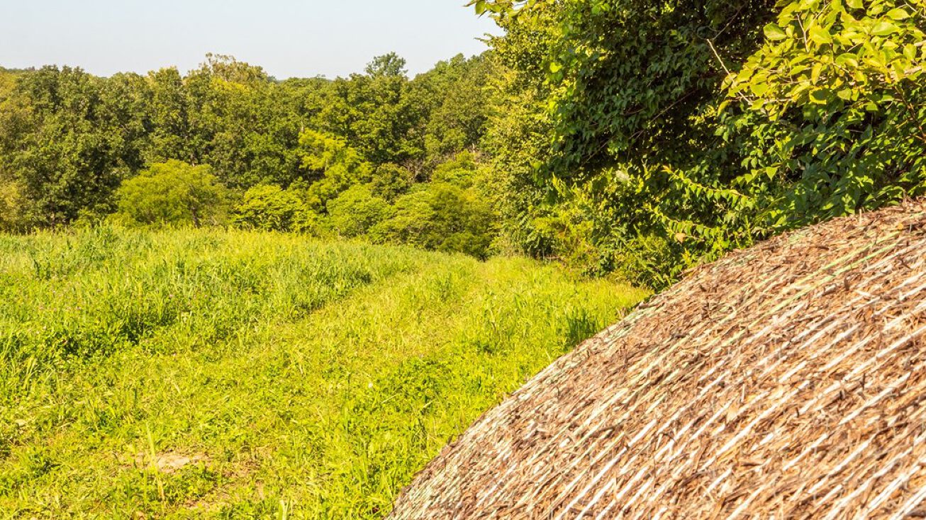 S Chantilly Rd, Moscow Mills, MO 63362