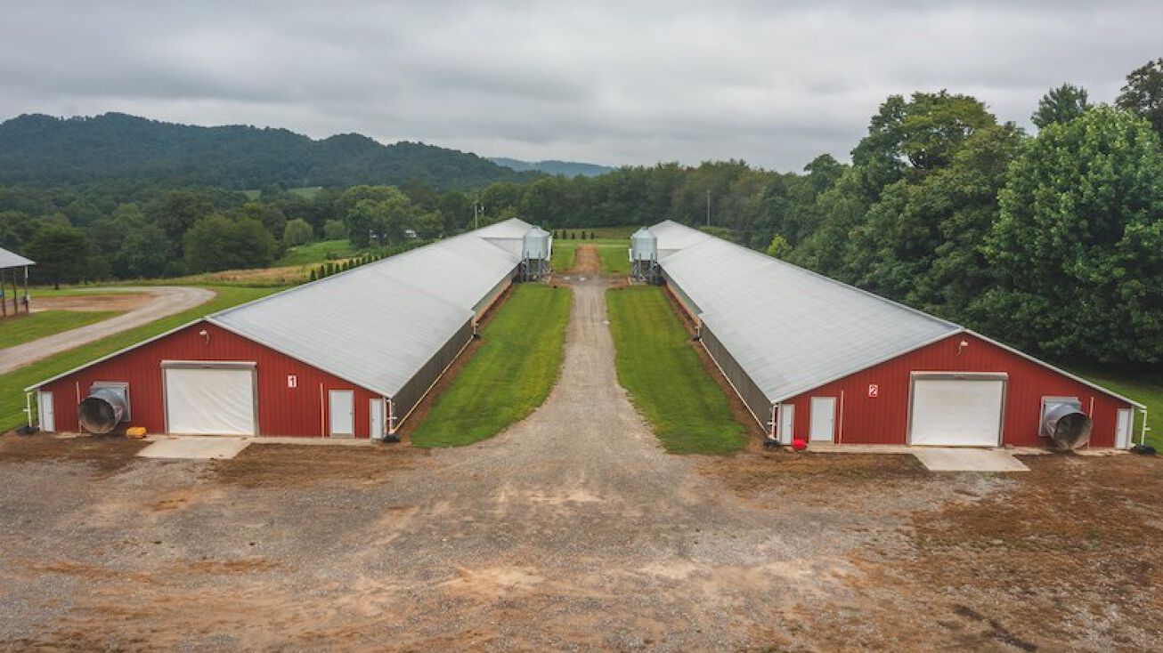 1293 Beaver Creek Rd, Boomer, NC 28606