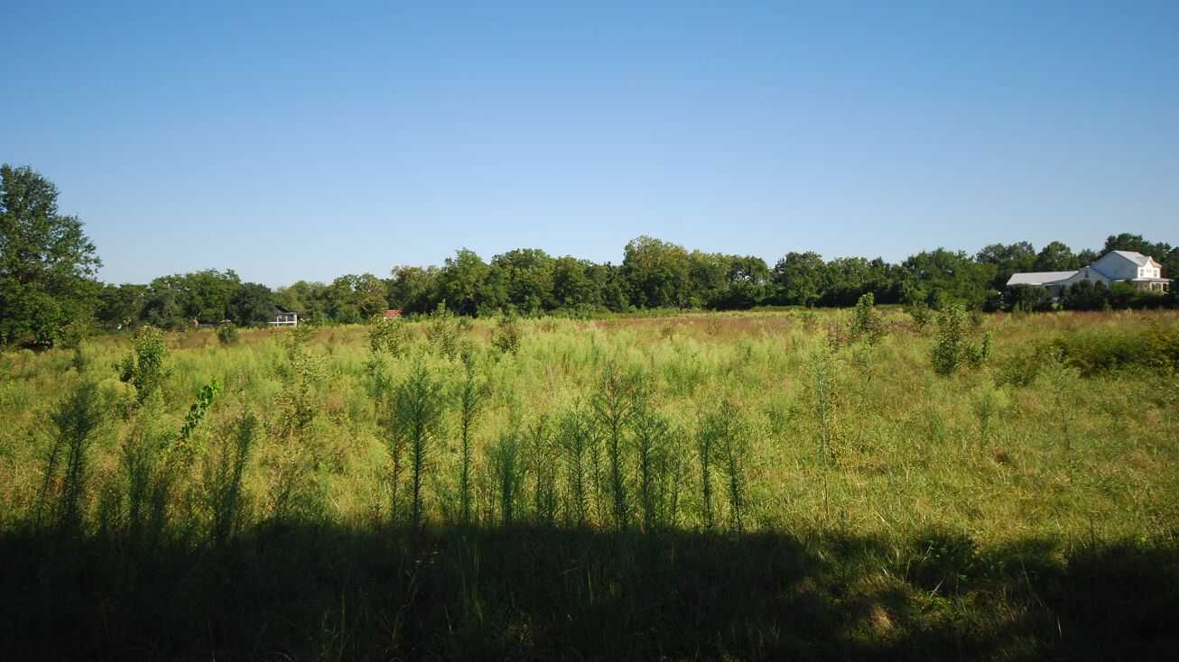 1816 Old Natchez Trace, Franklin, TN 37069