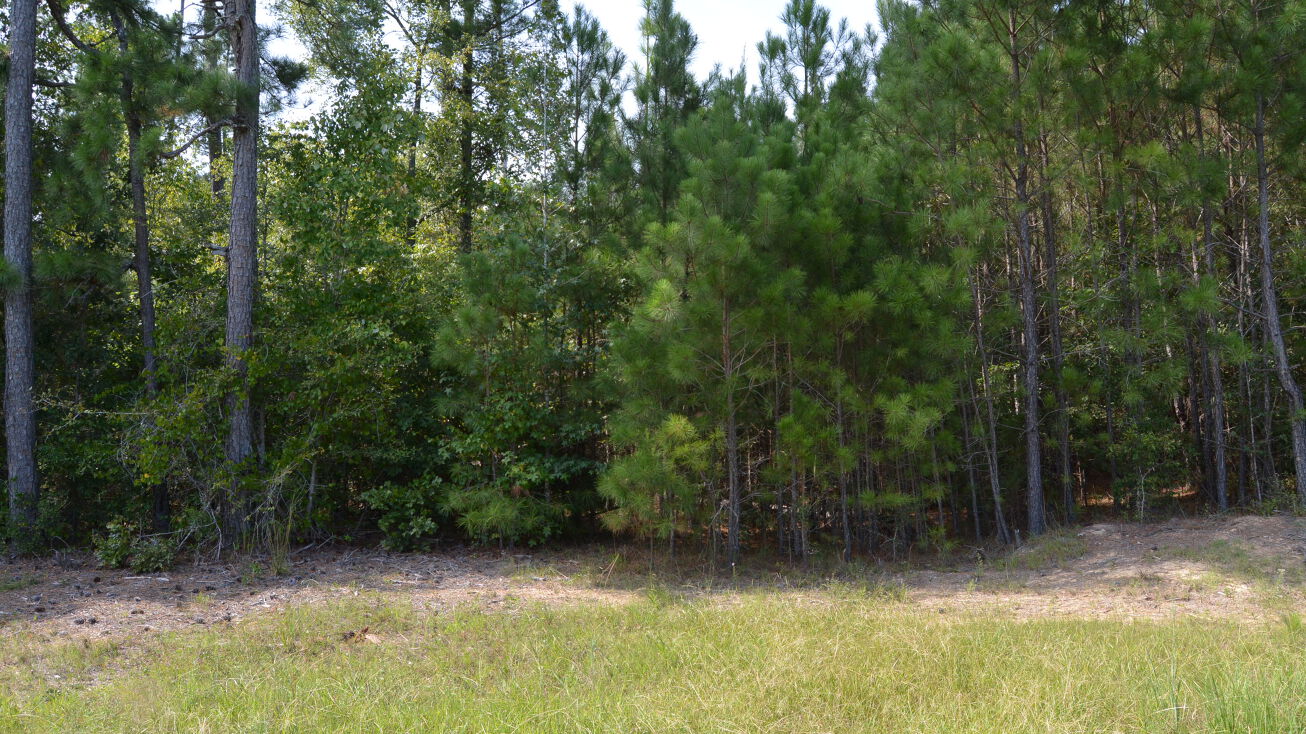 Asbury Church Rd, Sanford, North Carolina 27330, NC 27330