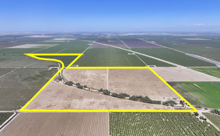 Pictures of Land property located at Palm Ave, Wasco, CA 93280 for sales - image #1