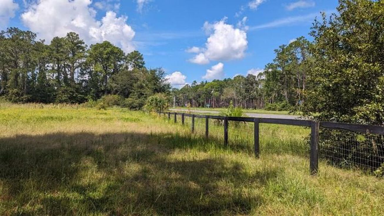 205/207 NW Us Hwy 441, Micanopy, FL 32667
