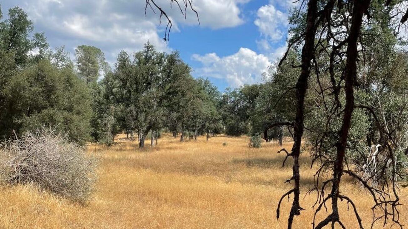 10217 Holtzel Rd / Bull Creek Rd 2S05, Coulterville, CA 95311