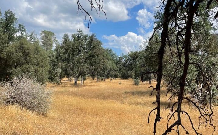 Pictures of Land property located at 10217 Holtzel Rd / Bull Creek Rd 2S05, Coulterville, CA 95311 for sales - image #1
