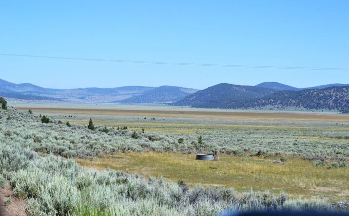 Pictures of Land property located at 523-400 Grasshopper Road, Termo, CA 96132 for sales - image #1