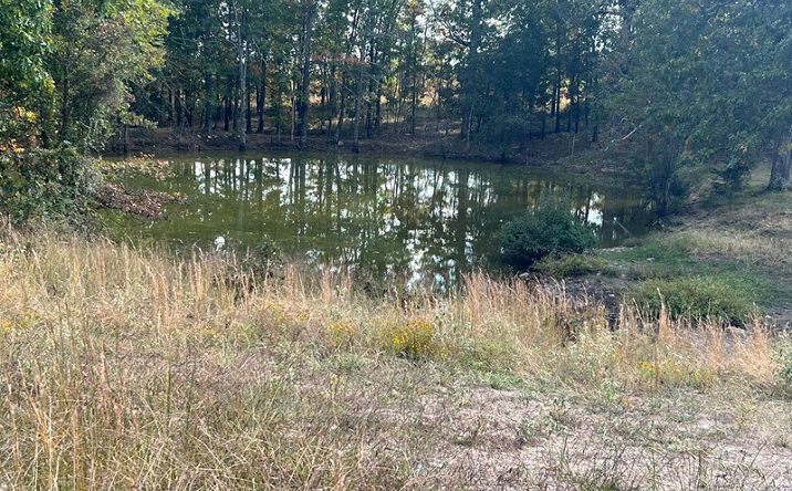 Pictures of Land property located at F Highway, Koshkonong, MO 65692 for sales - image #1