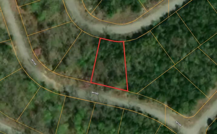 Pictures of Land property located at 000 Skylee Drive, Hollister, MO 65672 for sales - image #1