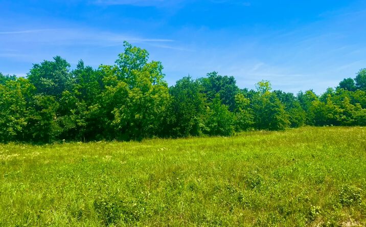 Pictures of Land property located at Lot 103 Arlow Rd, Poolville, TX 76487 for sales - image #1