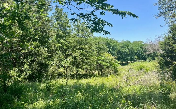 Pictures of Land property located at Lot 89 W Kerry Ct, Poolville, TX 76487 for sales - image #1