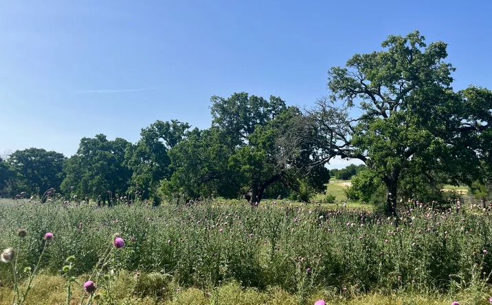 Pictures of Land property located at Lot 75 Kilkenny Road, Poolville, TX 76487 for sales - image #1