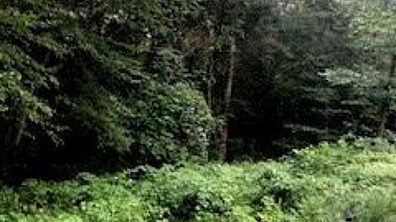 0 Glen Road, Montville, CT 06382