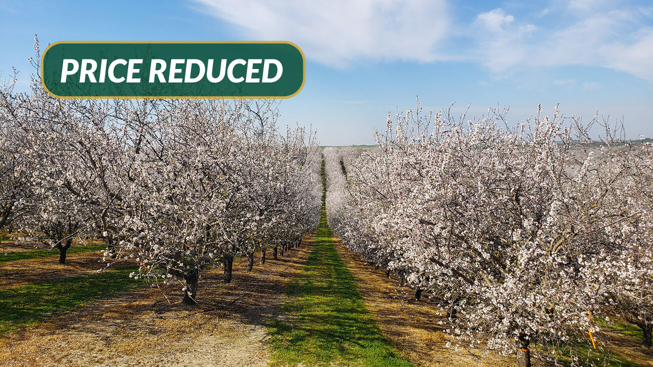 E. of Turlock Lake, La Grange, CA 95329