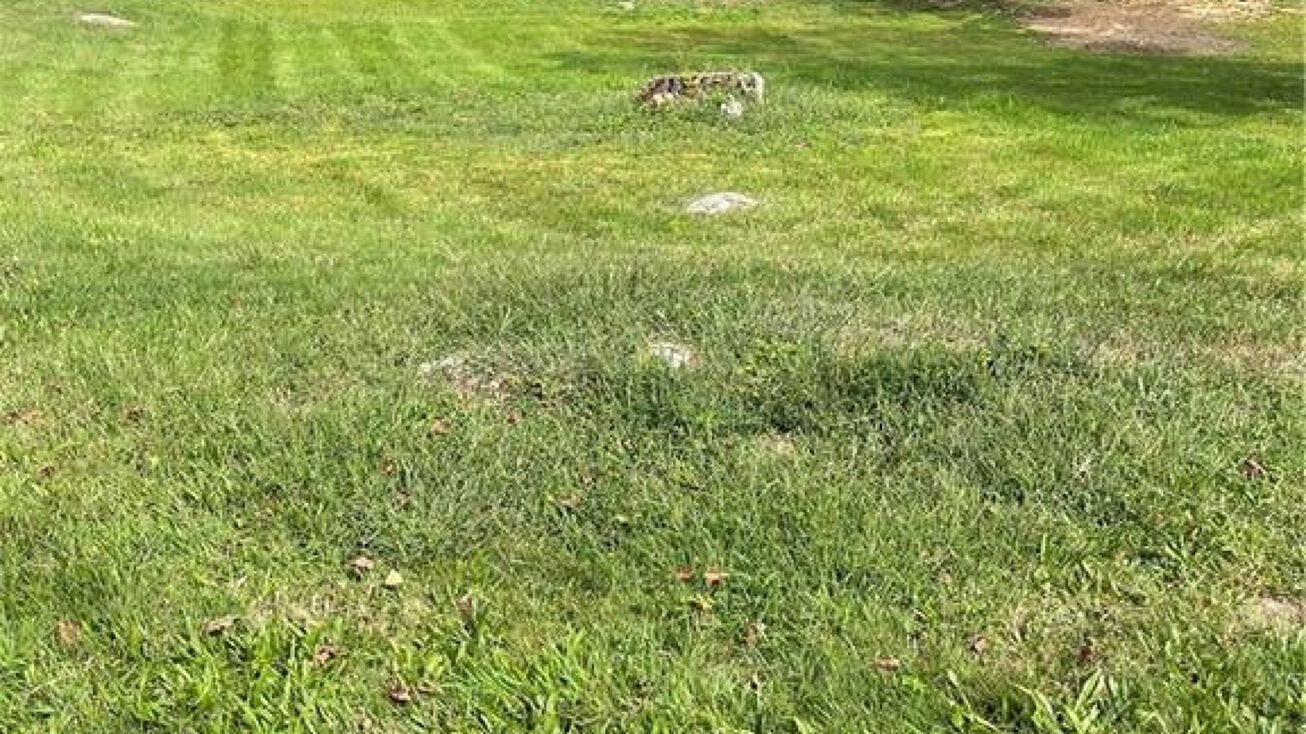 398 Elm Street, Monroe, CT 06468