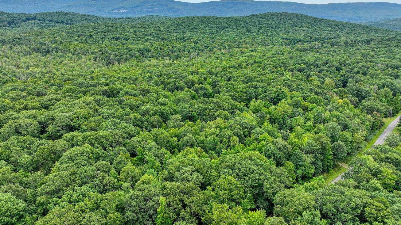 55 Roberts Rd, Ellenville, NY 12428