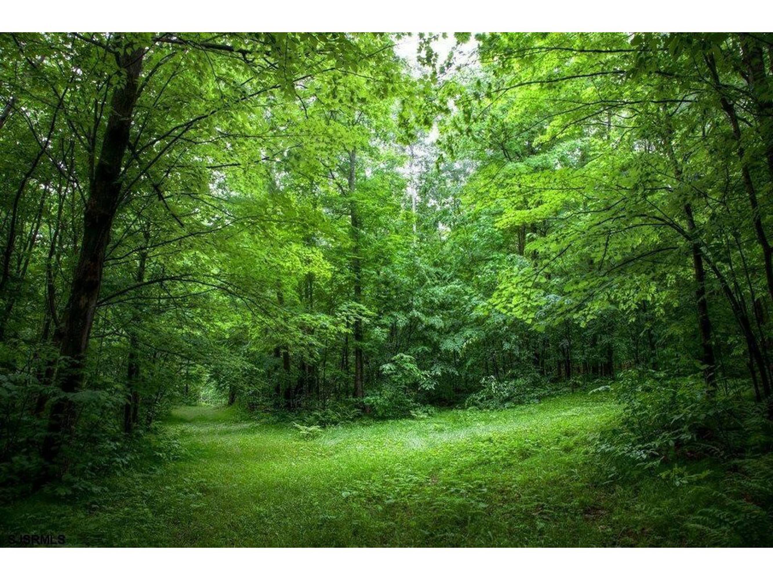1345 Somers Point Rd, Egg Harbor Township, NJ 08234