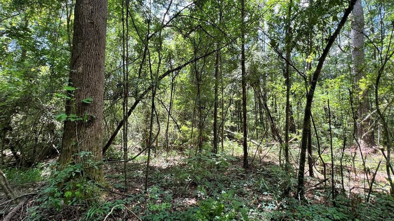 Lot 4 Lewis Lane, Meadville, MS 39653