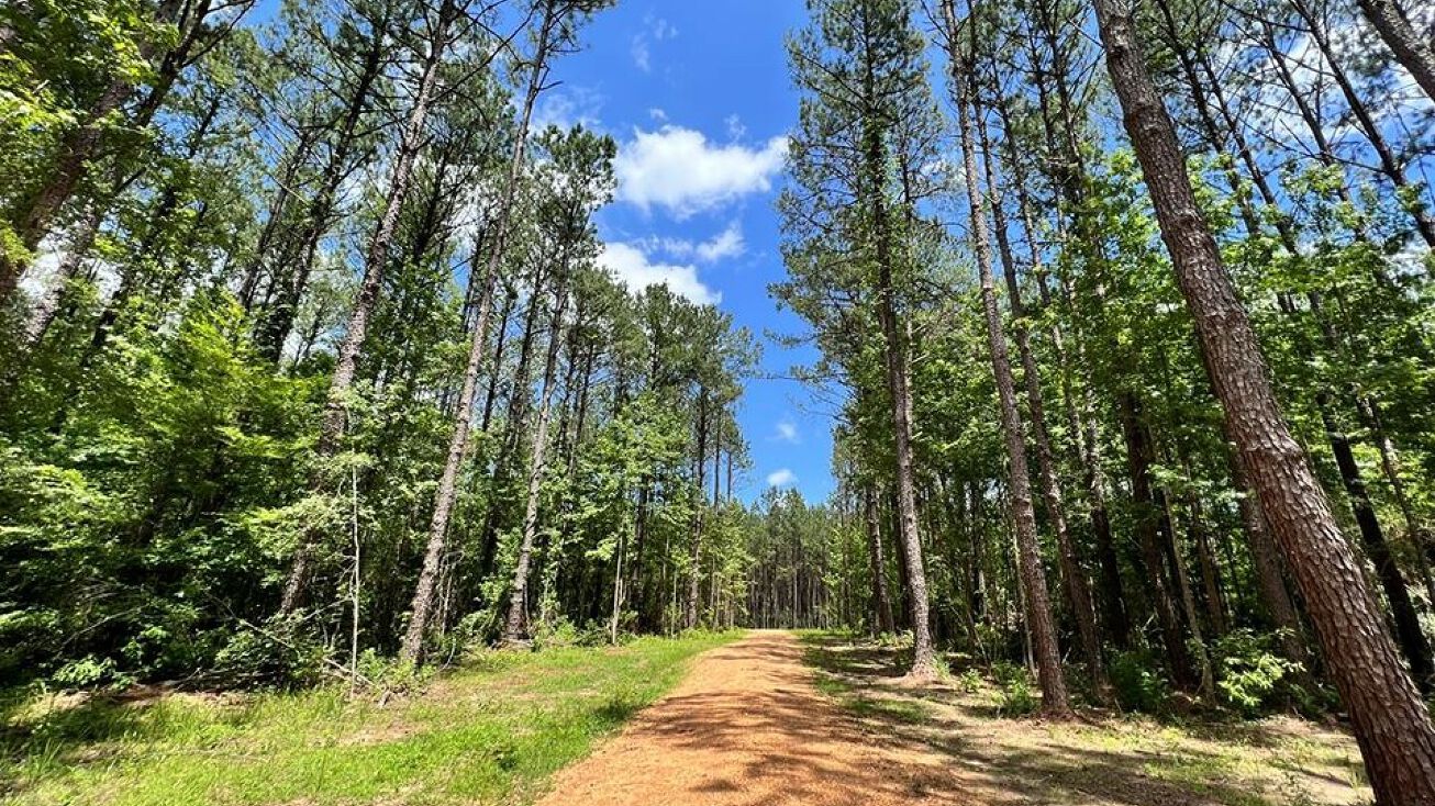 Lot 6 Lewis Lane, Meadville, MS 39653 | Crexi.com