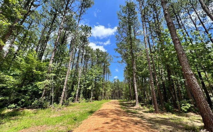 Lot 6 Lewis Lane, Meadville, Ms 39653 