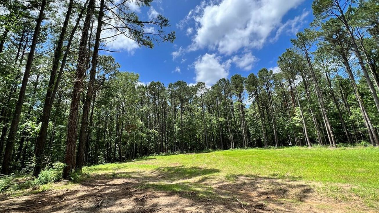 Lot 5 Lewis Lane, Meadville, MS 39653 | Crexi.com