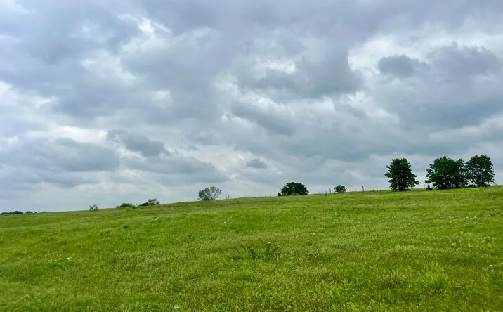 Pictures of Land property located at Lot 26 Kilkenny Road, Poolville, TX 76487 for sales - image #1