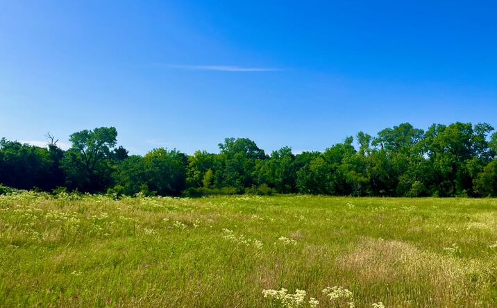 Pictures of Land property located at Lot 69 Sarra Ranch, Poolville, TX 76487 for sales - image #1