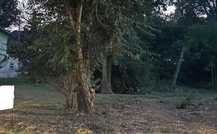 Pictures of Land property located at 3924 Brooklyn Avenue, Kansas City, MO 64130 for sales - image #1