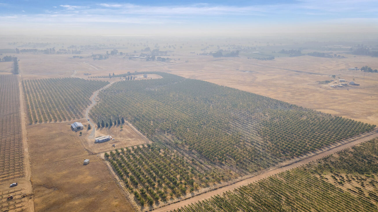 27423 Mackville Rd, Clements, CA 95227