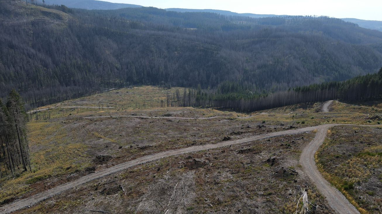 S Molalla Rd, Molalla, OR 97038