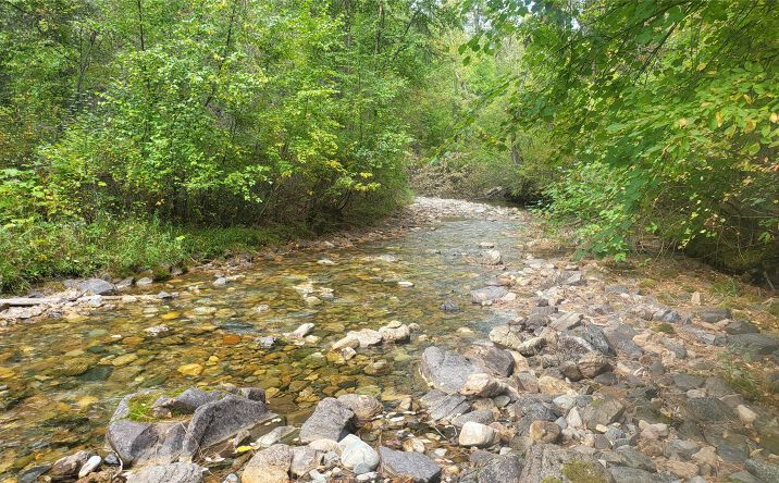 Pictures of Land property located at 84 Beaver Pond Road, Superior, MT 59872 for sales - image #1