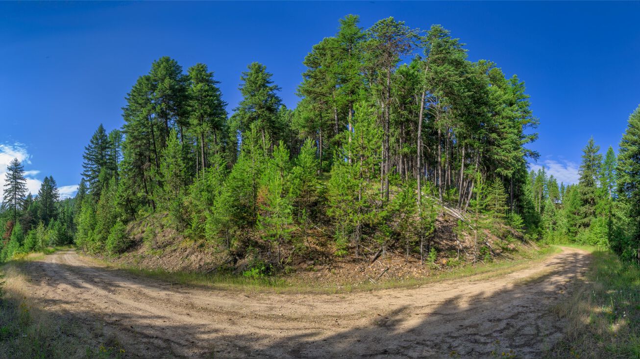 NHN Cold Creek Road TRACT D, OF COS 668B, Saint Regis, MT 59866