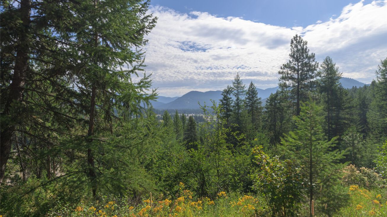 NHN Cold Creek Road TRACT A, B, C. D OF COS 668B, Saint Regis, MT 59866