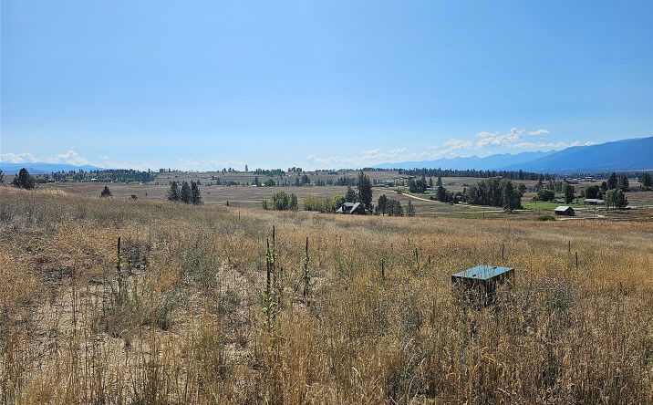 Pictures of Land property located at 1117 Rugged Ridge Road, Stevensville, MT 59870 for sales - image #1