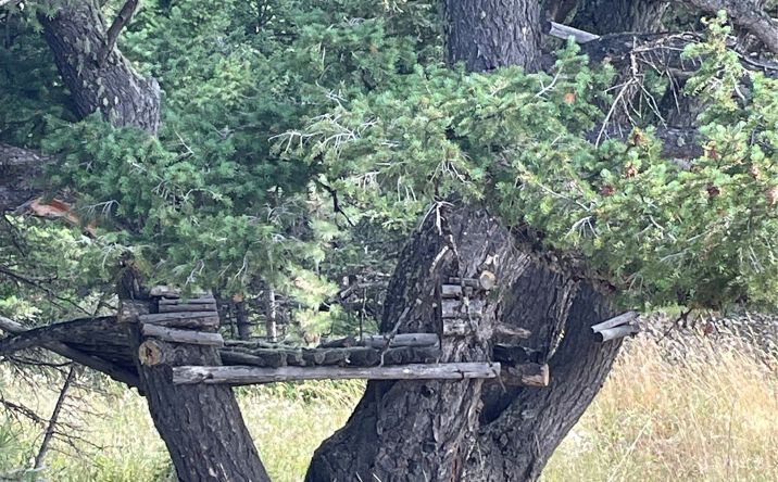 Pictures of Land property located at nhn nhn, Raynesford, MT 59469 for sales - image #1