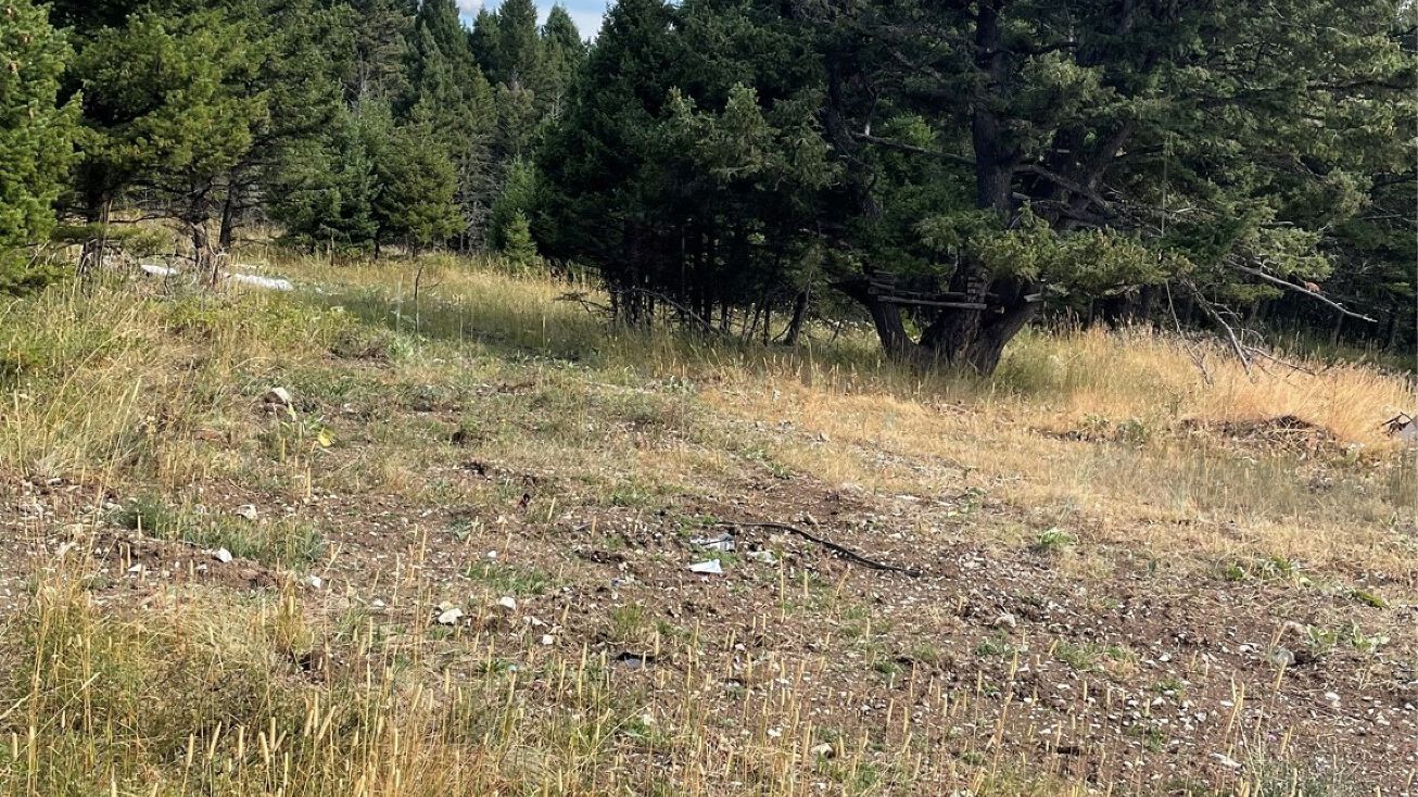 nhn nhn, Raynesford, MT 59469